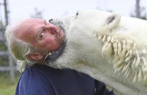 Le straordinarie immagini dell’unico uomo al mondo che gioca e nuota con uno splendido orso polare. 