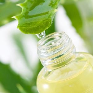 Aloe vera: il gel e il succo dalle mille proprietà curative 