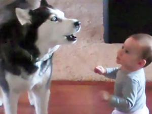 Il bambino che parla con il cane. 