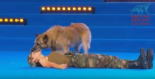 L’incredibile intelligenza di un cane che esegue un’emozionante coreografia con la sua padrona 