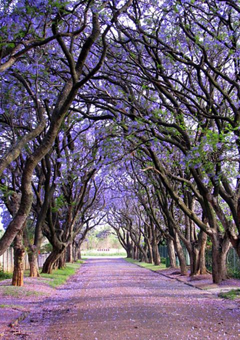 Cullinan - Sud Africa